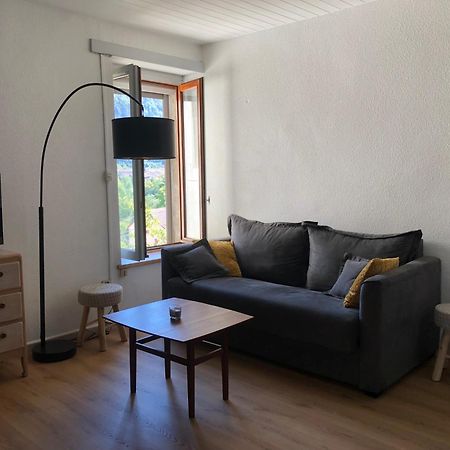 Appartement T2 Avec Terrasse Calme Et Ensoleillee à Saint-Claude Extérieur photo